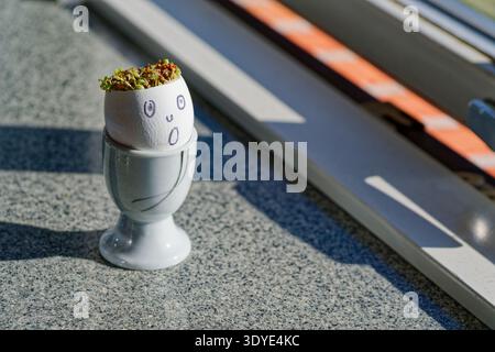 Eine weiße Eierschale mit einem gezeichneten, überraschten Gesicht hält grüne Sprossen in einer weißen Tasse auf einer Sonnenbank aus Granit mit Schatten und Fensterrahmen. Stockfoto