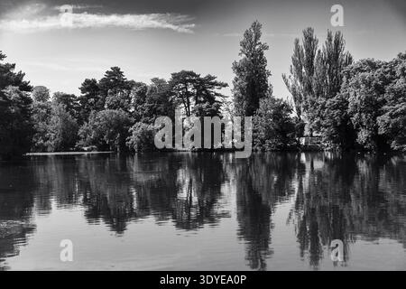 Schwarz-Weiß-Parklandschaft mit einem See: ruhige Wasseroberfläche spiegelt dichte Bäume und Uferlinie unter einem hellen Himmel mit einer leichten Wolke wider. Stockfoto