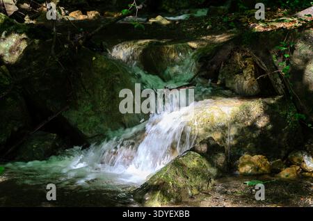 Kleiner Wasserfall, der über moosige Felsen in einem schattigen Waldbach stürzt, mit Sonnenlichtern und fließendem Wasser in langer Exposition. Stockfoto