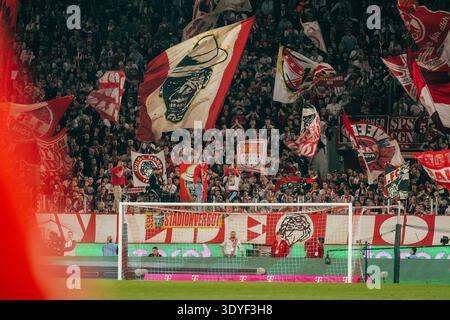 1.FC Köln gegen Borussia Dortmund, Fußball, Bundesliga in Köln, Deutschland, Fans des 1.FC Köln auf den Südtribünen mit Fahnen Stockfoto