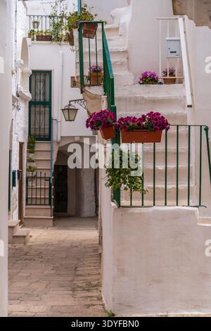 Bezaubernde Aussicht auf eine enge Straße in Cisternino. Weiß getünchte Häuser, Steintreppen mit violetten Blumen und traditionellem Bürgersteig. Typische Architektur von Stockfoto