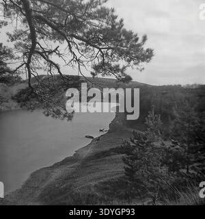 Vintage-Schwarz-weiß-Foto, das eine dramatische Outdoor-Szene zeigt, in der sich eine massive, majestätische Kiefer von einem hohen, zerklüfteten Ufer aus stark über einen ruhigen, sich windenden Fluss neigt. Die weitläufige Herbstlandschaft umfasst kleine Holzboote, die am Ufer vertäut sind, und dichte Wälder, die das ferne Tal säumen. Diese atemberaubende natürliche Komposition fängt die ungezähmte Wildnis und die raue Umgebung der Mitte des zwanzigsten Jahrhunderts auf brillante Weise ein. Ein eindrucksvolles Archivbild, das die malerische Schönheit eines friedlichen Donbass vor dem Krieg perfekt verkörpert. Stockfoto