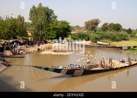 Arbeiter, die Kalabashürben entlang des Niger-Flusses in Niamey, Niger, Westafrika, mit traditionellen Holzbooten waschen und transportieren. Stockfoto