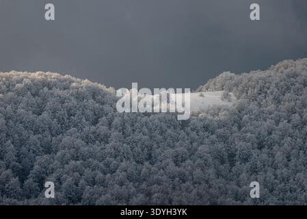 Eine dramatische Winterberglandschaft mit einem frostbedeckten Buchenwald unter einem dunklen, stimmungsvollen Himmel, mit einem einzigen hellen Sonnenstrahl, der eine Dista beleuchtet Stockfoto