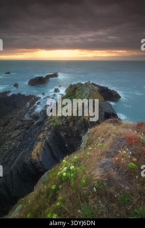 Felsige Landzunge und Offshore Stacks bei Sonnenuntergang, Hartland Quay Küste, North Devon, England, Großbritannien. Stockfoto