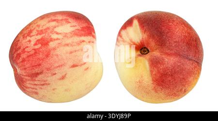 Zwei reife flache Pfirsiche isoliert auf weißem Hintergrund. Auch bekannt als Donut-Pfirsich oder Saturn-Pfirsich. Frische saftige Sommersteinfrucht mit roter und gelber Haut Stockfoto