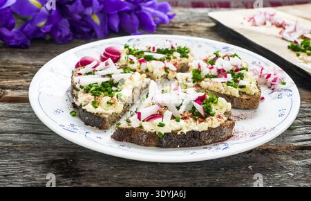 Rustikale Mahlzeit mit Bruschetta aus Eiern, garniert mit frischem Rettich und Schnittlauchfleisch, für eine herzhafte Vorspeise oder einen Snack Stockfoto