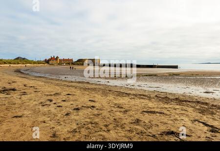 Beadnell Beach, Northumberland. Der geschützte, nach Westen ausgerichtete Sandstrand ist beliebt für Spaziergänge am späten Nachmittag im Herbst. Die historischen Kalköfen AR Stockfoto