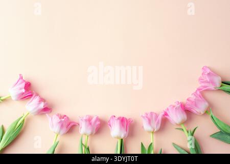 Pinkfarbene Tulpen in geschwungener Reihe auf beigefarbenem Hintergrund, Kopierraum. Muttertag-Grußkarte, flach gelegt. Stockfoto