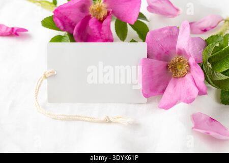 Leere Grußkarte mit blühenden rosa Hagebuttenblüten auf weißem Leinenhintergrund. Leere Papierkarte mit wilder Rosenblume. Stockfoto