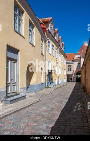 Kopfsteinpflasterstraße mit historischen Pastellhäusern in der Altstadt von Tallinn im mittelalterlichen Viertel Tallinn, Tallinn, Estland Stockfoto