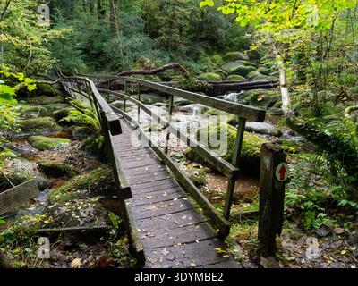Holzsteg über Becka Brook, Becky Falls, Dartmoor National Park, Devon, England, UK, Oktober 2020 Stockfoto