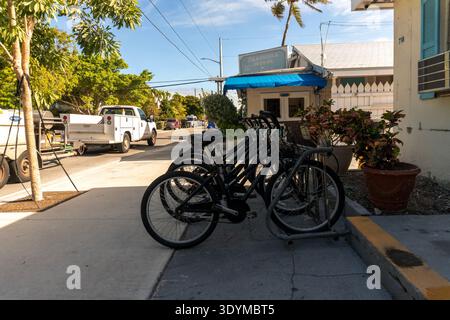Reihe von Rental Cruiser Fahrrädern, die auf einer Sunny Street in Key West, Florida, geparkt sind Stockfoto