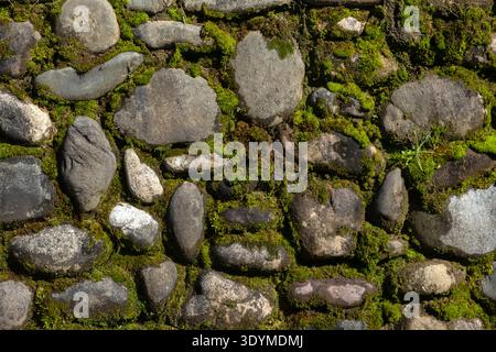 Alte Steinmauer mit grünem Moos in einem Garten Stockfoto