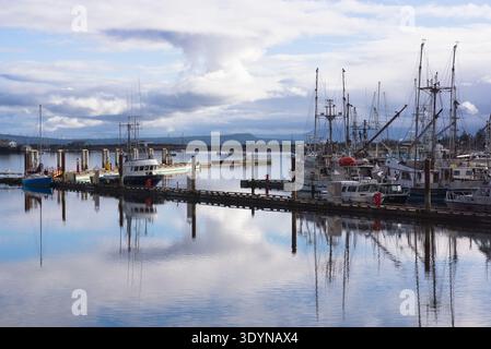 Fischerboote und Schiffe, die im Comox Harbour im Hafen von Comox auf Vancouver Island, British Columbia, Kanada, vor Anker liegen und sich auf dem ruhigen Wasser spiegeln. Stockfoto