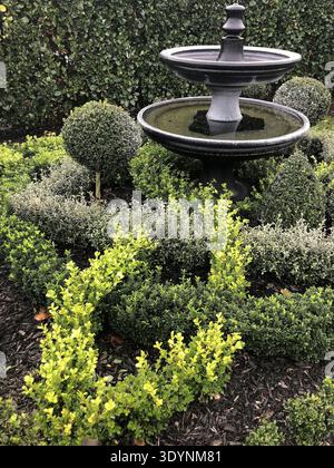 Gestufter Brunnen mit Topiary Stockfoto