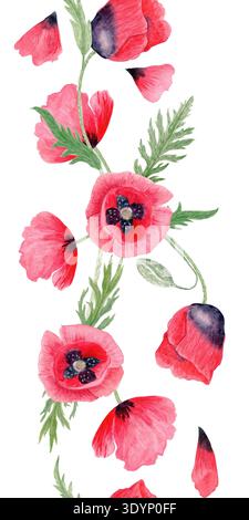 Rote Mohnblume, vertikale nahtlose Grenze Blume, Knospen, Stiel, Blätter, lose Blütenblätter isoliert auf weiß, handgemalte Aquarellillustration für Hochzeit Stockfoto