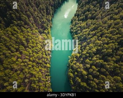 Blick aus der Vogelperspektive auf den smaragdgrünen Fluss, der durch dichte Waldlandschaft fließt Stockfoto