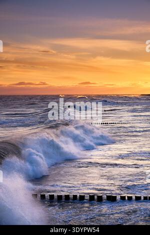 Mächtige Meereswellen krachen bei Sonnenaufgang an der Ostseeküste in der Nähe von Koserow, Deutschland, gegen die Küste und Holzkiefer Stockfoto