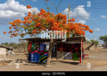 Pulsierende Stände mit traditionellen Stoffen und Gegenständen entlang einer staubigen Straße in einem afrikanischen Dorf schaffen eine lebendige Szene unter hellem Himmel mit Stockfoto