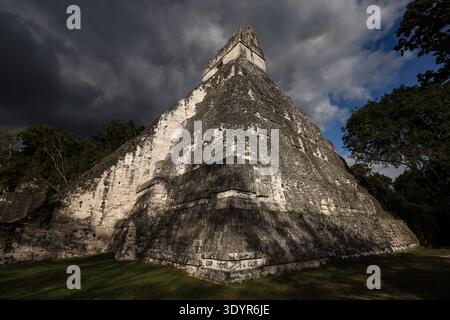 Antike Maya-Pyramidentempel umgeben von Dschungel im Tikal-Nationalpark, Guatemala. Stockfoto