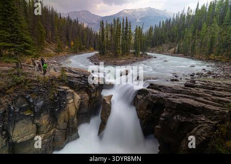 Sunwapta fällt entlang des Icefields Parkway in Kanada. Stockfoto