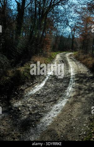 Im Spätherbst führt eine kurvenreiche, unbefestigte Schotterstraße durch einen dichten Wald. Haute Loire, Auvergne Rhone Alpes, Frankreich Stockfoto