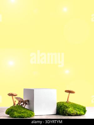 Weißes kubisches Podium mit grünem Moos und Pilzen isoliert auf einem Weißen. Stillleben für Produktpräsentation. Einrichtung im Wald und natürlicher Stil. Stockfoto