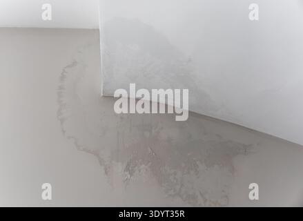 Wasserschäden an der Innenwand durch starken Regen, Problem mit der Isolierung im Haus Stockfoto