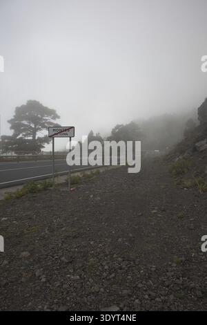 Eine malerische Bergstraße schlängelt sich durch dicken Nebel und Wolken im Hochland von La Palma. Majestätische Kanarienkiefer ragt aus dem Nebel. Atmosphärisch Stockfoto