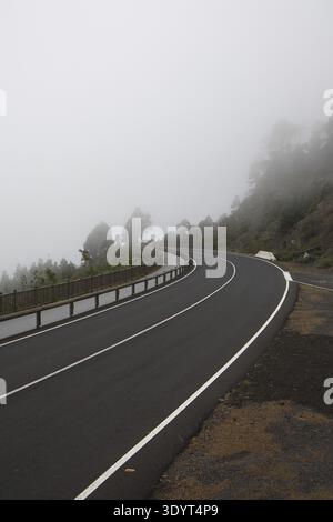 Eine malerische Bergstraße schlängelt sich durch dicken Nebel und Wolken im Hochland von La Palma. Majestätische Kanarienkiefer ragt aus dem Nebel. Atmosphärisch Stockfoto
