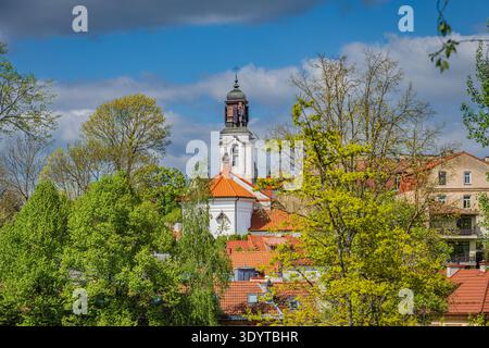 Der weiße Glockenturm der Kirche St. Philipp und St. Jakobus erhebt sich über roten Ziegeldächern und Springbäumen in Vilnius, Litauen. Stockfoto