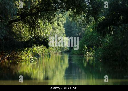 Landschaft des Donaudeltas bei Tulcea in Rumänien Stockfoto