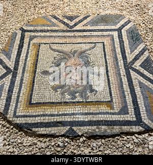 Römisches Mosaik eines Satyrn aus Zeugma aus dem 2. Bis 3. Jahrhundert. Zeigt einen naturliebenden Anhänger von Dionysos. Jetzt im Zeugma Mosaic Museum, Türkei. Stockfoto
