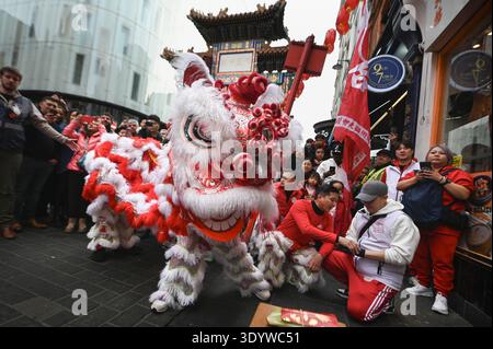 Wardour Street, London, Großbritannien. Februar 2026. Im Bild: Ein chinesischer Drache tritt vor den Menschenmassen in der Wardour Street auf. / Chinesisches Neujahrsfest Stockfoto