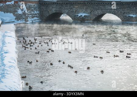 Enten schwimmen im teilweise gefrorenen Flusswasser, wobei Dampf von der kalten Oberfläche gegen eine alte Steinbrücke und verschneite Flüsse im Winter steigt Stockfoto