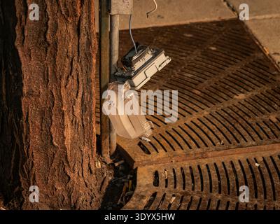 Nahaufnahme einer defekten Steckdose im Freien, die an Drähten neben einem Baumstamm und einem Metallgitter hängt Stockfoto