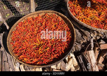 Nahaufnahme von roten Chilischoten, die in einem Korb trocknen, Hongsa, Sainyabuli, Laos, Asien Stockfoto