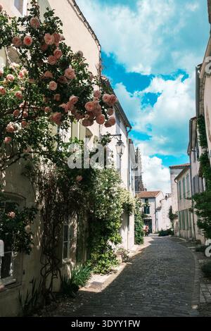 Kletterrosen kaskadieren über ein Steingebäude auf einer Kopfsteinpflasterstraße in der historischen Stadt Saint-Martin-de-Ré, Île de Ré, Charente-Maritime, Frankreich Stockfoto