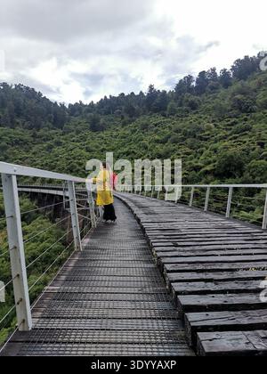 Weibliche Reisende in einem gelben Regenmantel, die auf dem HapuaWehua Viadukt steht und den Blick auf den Regenwald genießt, Neuseeland Stockfoto