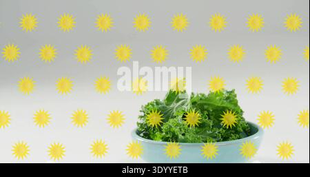 Mit hellblauer Schale, die Grünkohlblätter an einem hellen Studiotisch hält, Sonnenraster, Kopierraum Stockfoto