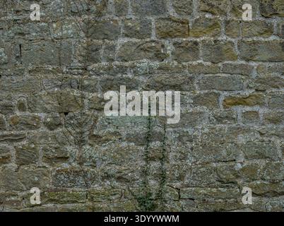 Alte Kalksteinblockwand mit Natursteingemauern Stockfoto