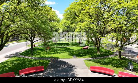 Forman Park - Syracuse, NY Stockfoto