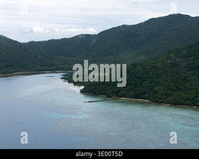 Blick aus der Vogelperspektive auf die üppigen grünen Berge, die auf das türkisfarbene Meer treffen, ein Pier, der sich in das ruhige Wasser der Turtle Conservation, Karimunjawa, Zentral-Java, erstreckt Stockfoto