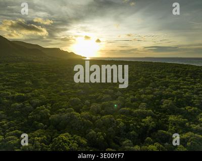 Blick aus der Vogelperspektive auf den üppigen Mangrovenwald, der unter einem goldenen Sonnenuntergang in der Nähe des Karimunjawa Mangrovenwaldes, Karimunjawa, Indonesien, das Meer trifft. Stockfoto