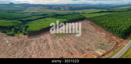 Erdtöne aus der Vogelperspektive treffen auf leuchtende Grüntöne in einem Panorama von Wald und gerölltem Land, White River, Mpumalanga, Südafrika. Stockfoto