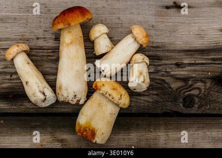 Frisch gepflückte Steinpilze auf rustikalem Holztisch. Draufsicht Stockfoto