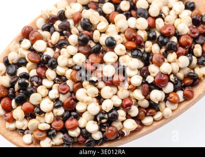 Bunte Quinoasamen im Holzlöffel Nahaufnahme. Stockfoto