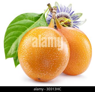 Gelbe süße granadilla-Früchte (Passiflora ligularis) mit granadilla-Blättern und Blüte isoliert auf weißem Hintergrund mit Schnittpfad. Stockfoto