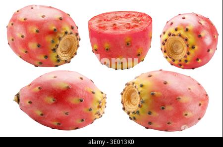 Sammlung von Opuntialfrüchten oder Feigenkaktus und Opuntialscheiben isoliert auf weißem Hintergrund. Datei enthält Beschneidungspfade. Stockfoto